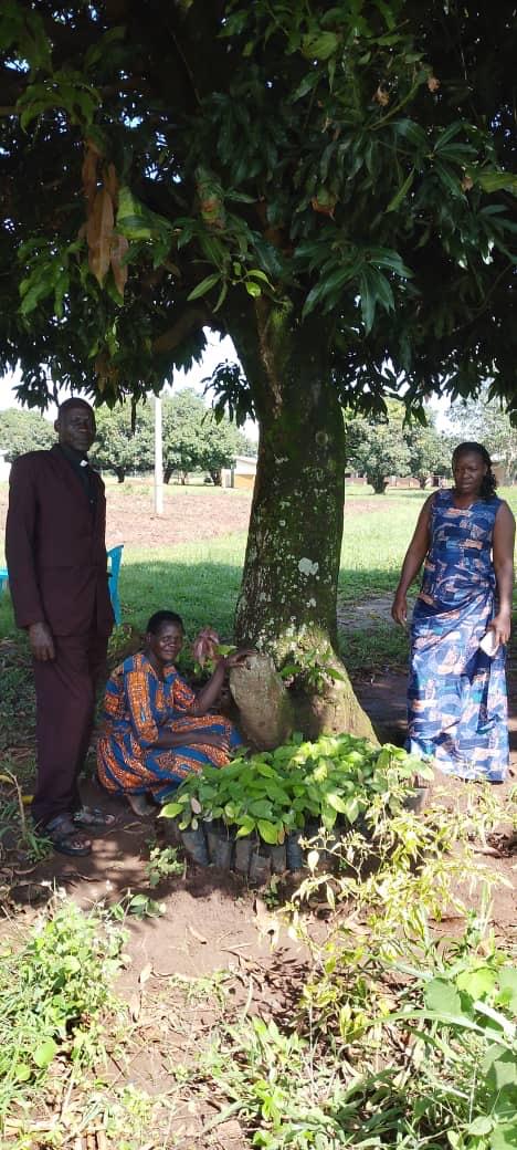 Agweng Priest Rev.Richard Omara Promotes Cocoa Farming, Urges Church Leaders to Grow for Self-Reliance