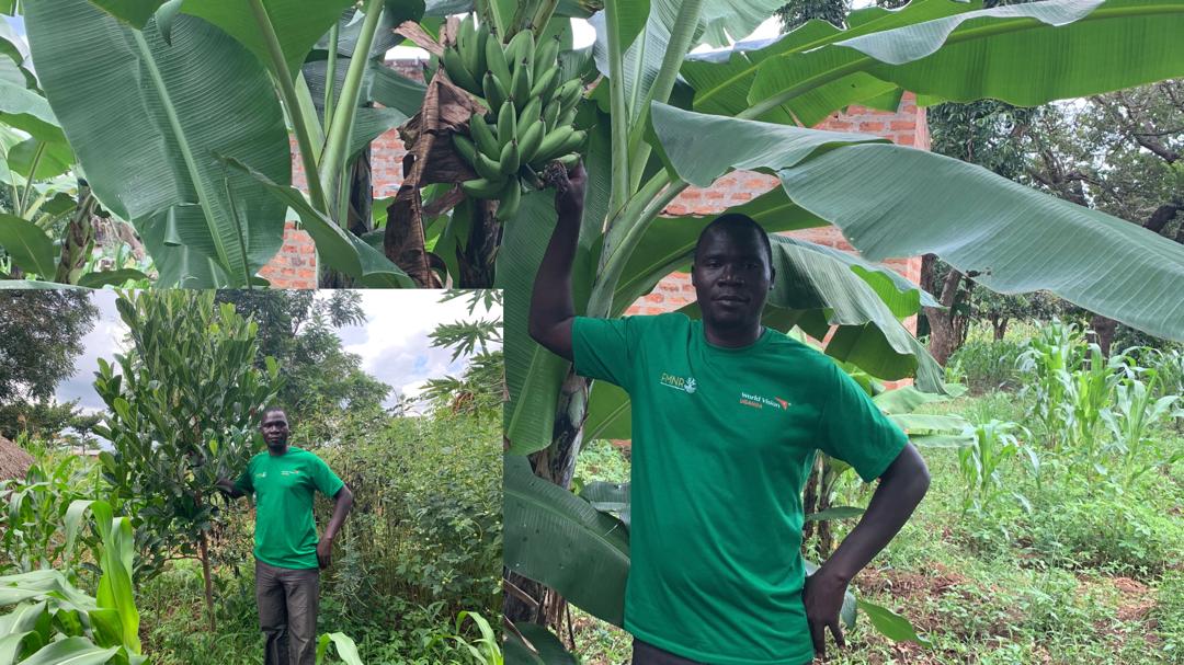Kole Teacher's Agri-Business Model Yields Income, Inspires Community